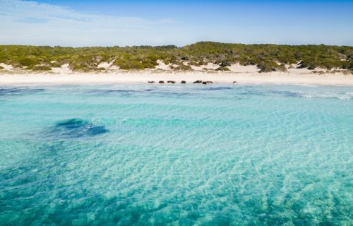 playa-es-trenc-mallorca-yosoymallorca11