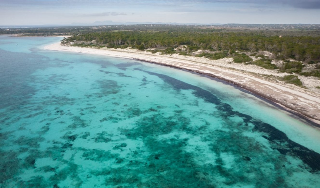 Playa de Es Carbó en Ses Salines