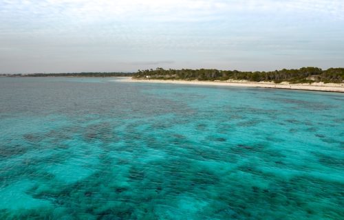Playa de Es Carbó en Ses Salines