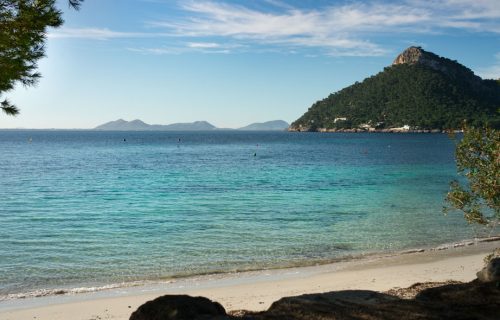 Vista desde los pino de Playa Formentor en Pollença con la península de Alcudia al fondo